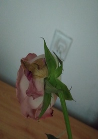 渣女的六种表现