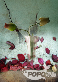 南京插座按钮开关怎么接线