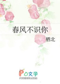 春风不识旧时月观后感